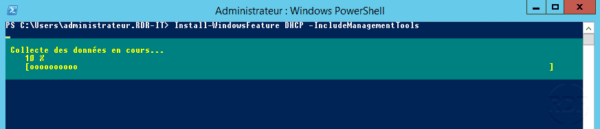 DHCP: instalación en curso ...