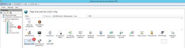 Console IIS