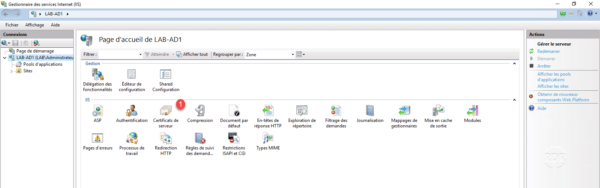 Console IIS