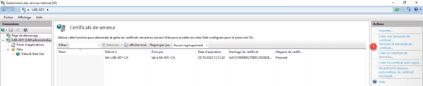 Console IIS