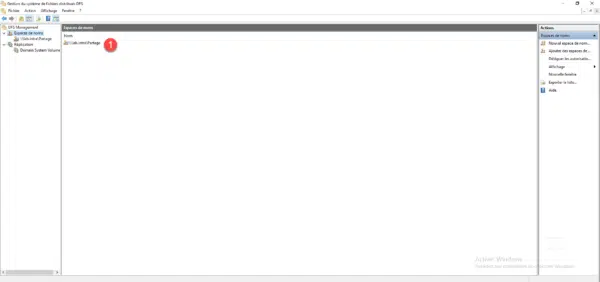 Namespance DFS dans la console
