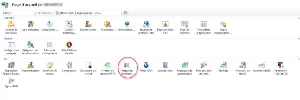 console IIS