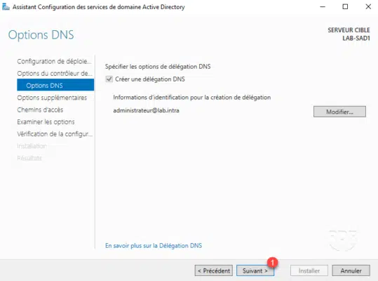 Option DNS