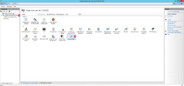 Console IIS