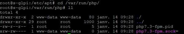 php-fpm pid