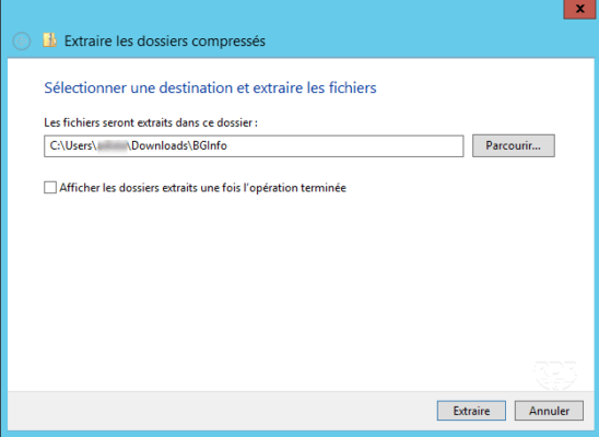 Unzip BgInfo