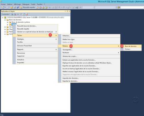 Database options