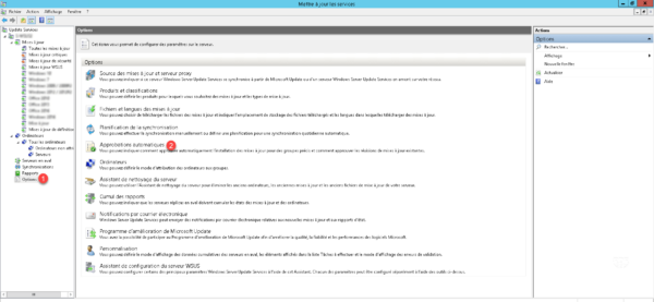 Wsus - options