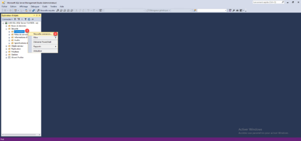 SSMS