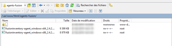 agent in web server