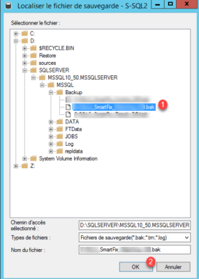 Select backup file