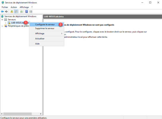 Start config server