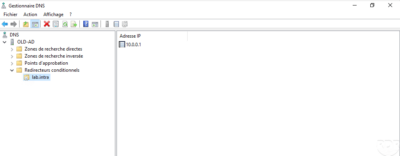 redirector to lab domain