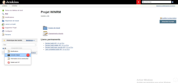 go output console