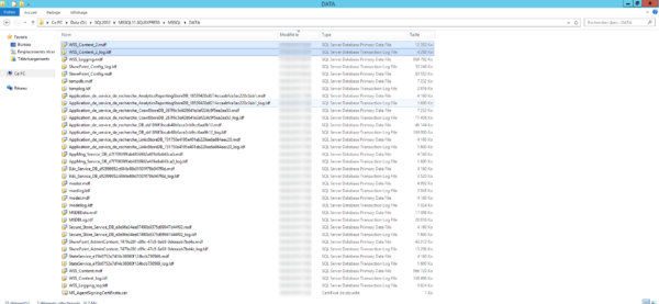 Databases files