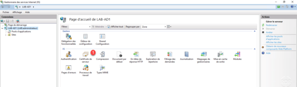 IIS Console