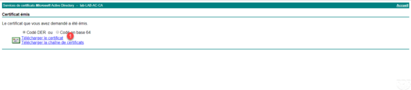 Download certificat