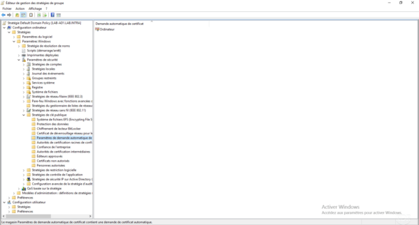 Model for auto enroll