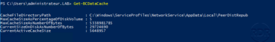 Get-BCDataCache