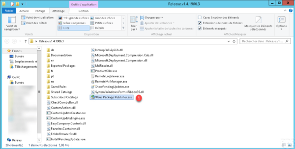 Wsus Package Publisher.exe