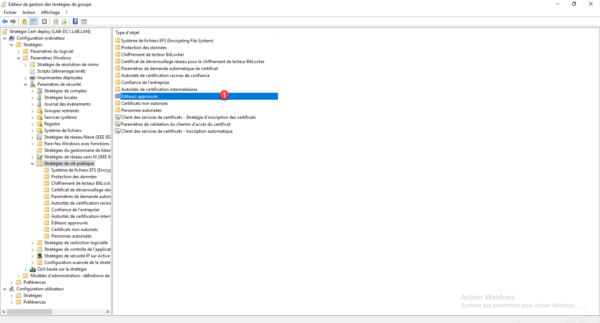 wpp gpo certificate