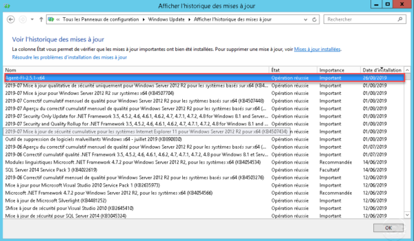 Client Windows Update