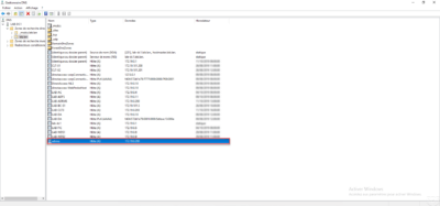 AD RMS Record DNS