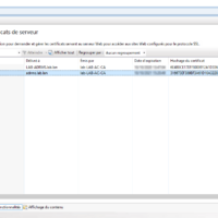 IIS certificate installed