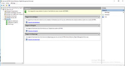 AD RMS - report type