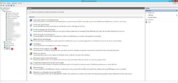 WSUS options
