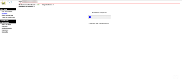 Wait durung install printer