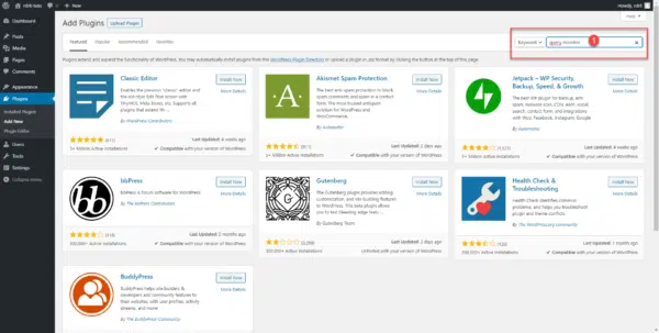 WordPress Search Plugin