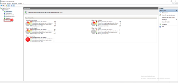 WSUS Console
