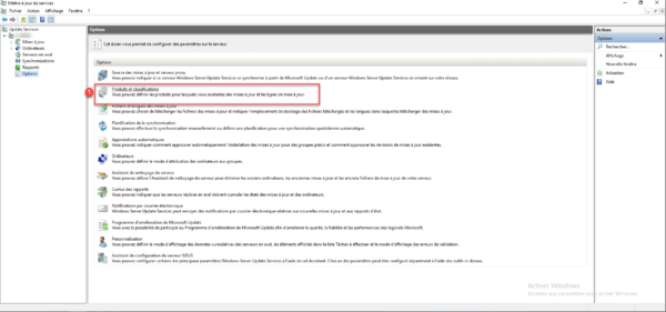 WSUS Options