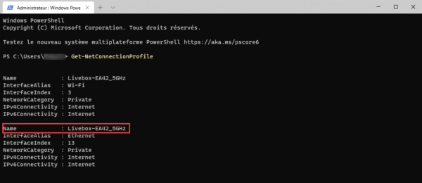 Get-NetConnectionProfile