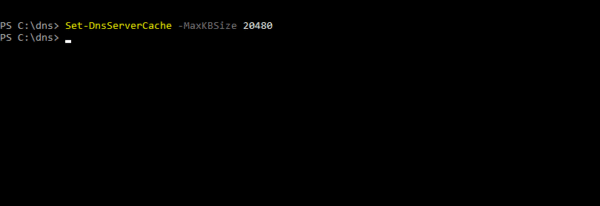 Set-DnsServerCache