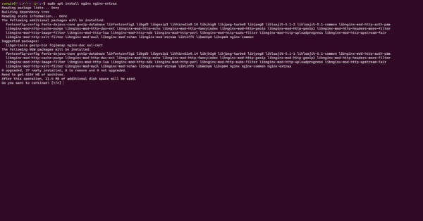 Install nginx and extra for reverse proxy