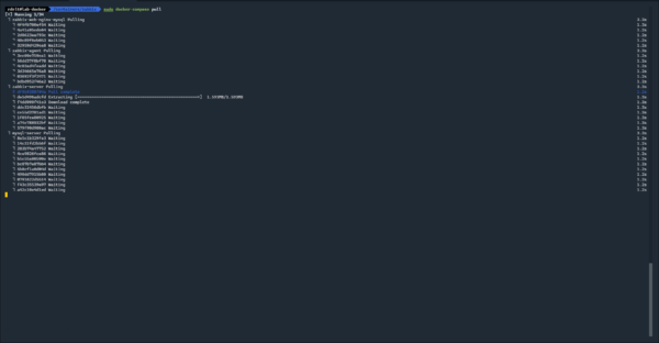 Download Zabbix image container