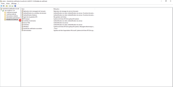 Certificat template