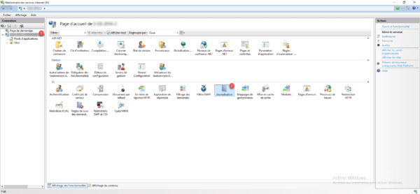 IIS Console