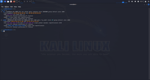 kali - ip a