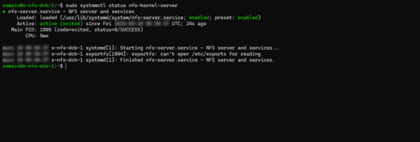 Check NFS Service