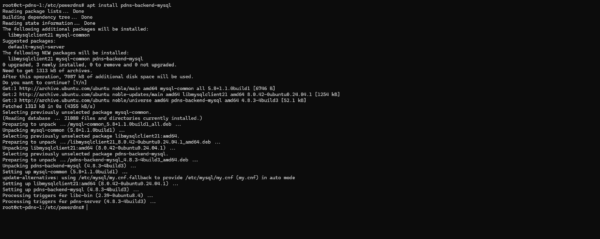 PowerDNS install backend MySQL with APT