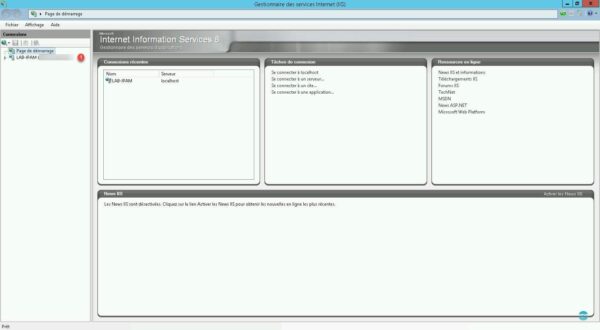 Console IIS