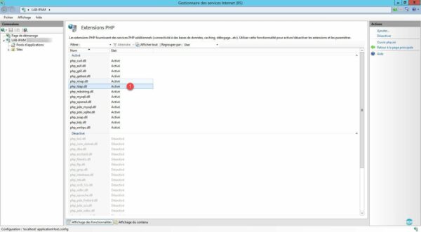 Extensión habilitada