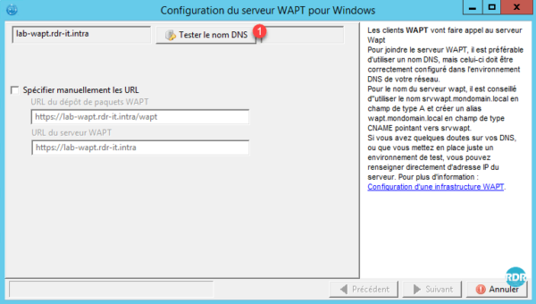 Test DNS