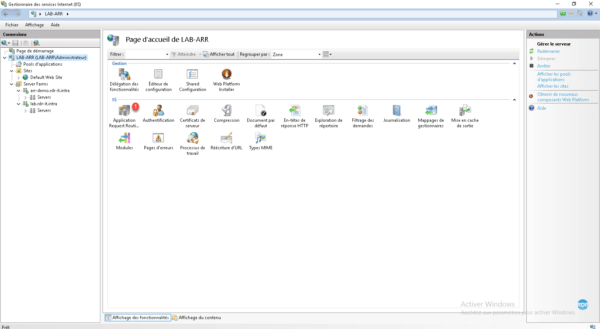 Console IIS ARR